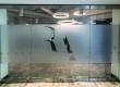 Frosted glass design in Dubai